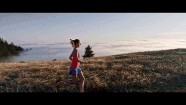 t0166dd66bfcb76bdad.gif